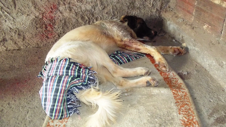 tech-2